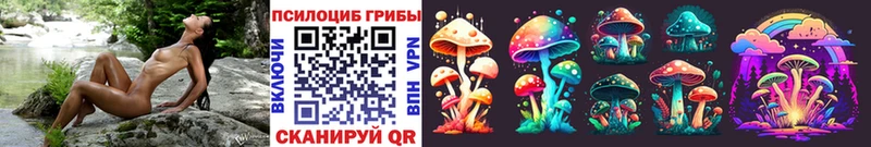 Галлюциногенные грибы Psilocybine cubensis  Кузнецк 